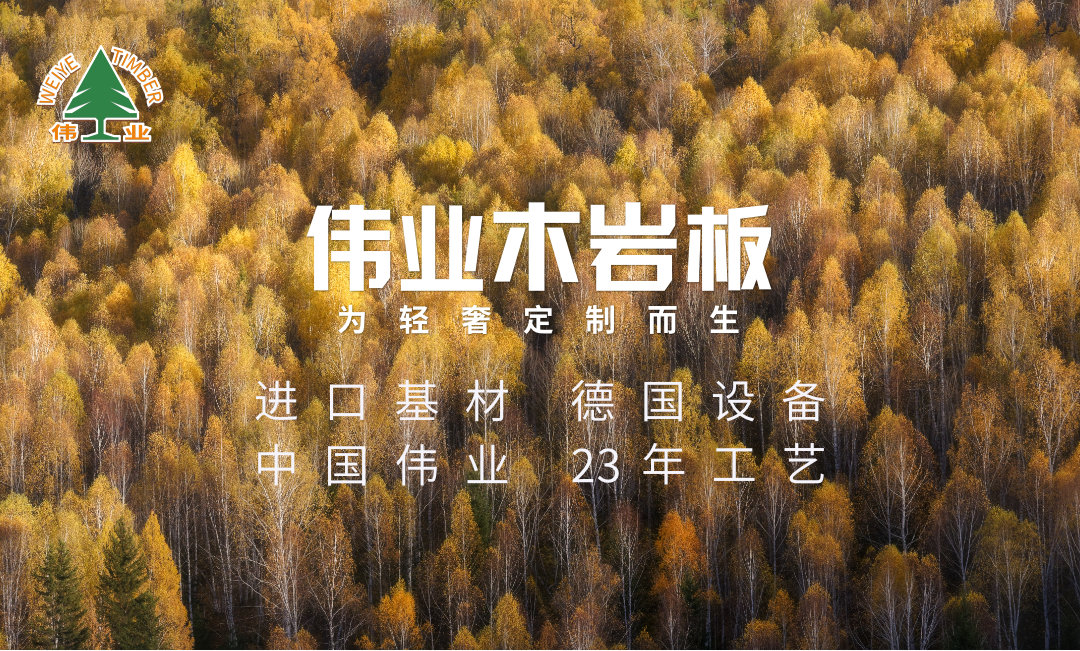 偉業(yè)木巖板：板材中的百隆